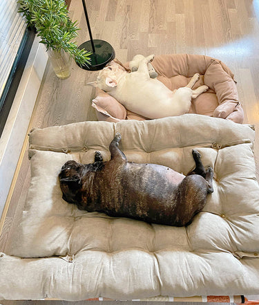 Dog Heaven™ Adjustable Nest Bed
